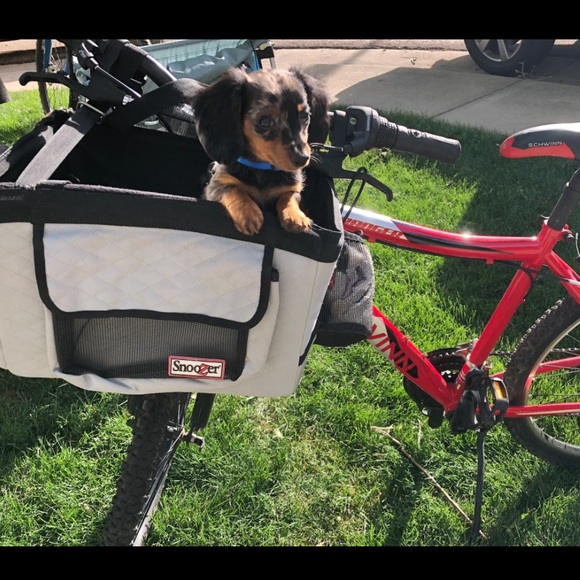 Snoozer small pet bicycle basket - Picture 6 of 6